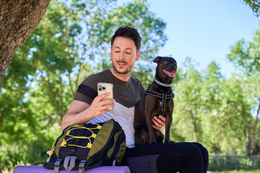 The Best Ways to Ensure Your Pet's Safety with Accurate GPS Tracking