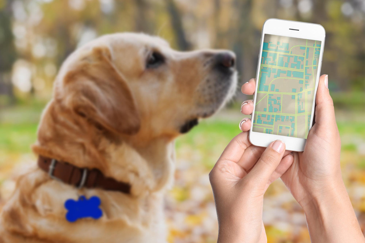 GPS Tracker for Pets
