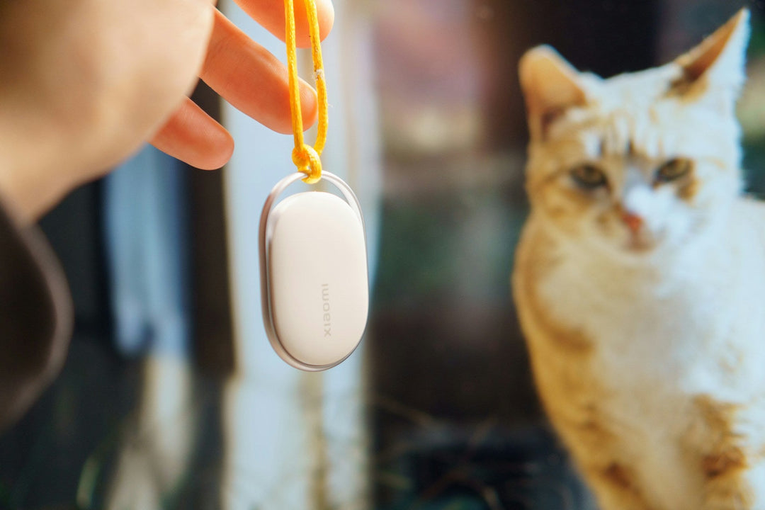 Why a Pet Tracker Is Handy for Visiting Friends in Winter